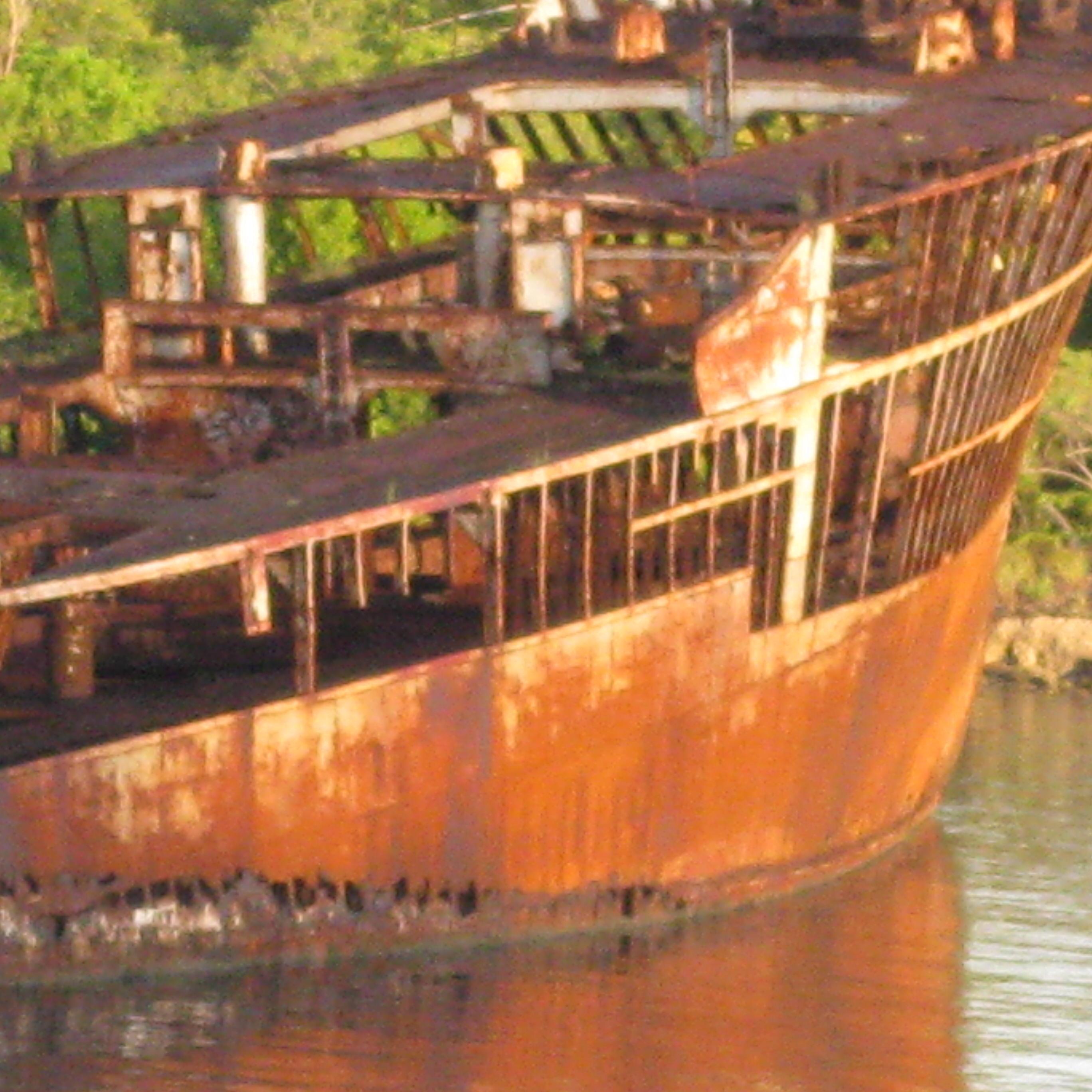 brittthefrog's profile picture. 👾