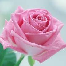 إذ نَادَىٰ رَبَّهُ نِدَاءً خَفِيًّا