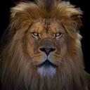 Ron Iverson - @Painterdawgie - Twitter