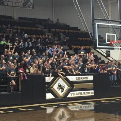 Yellowjacket Swarm