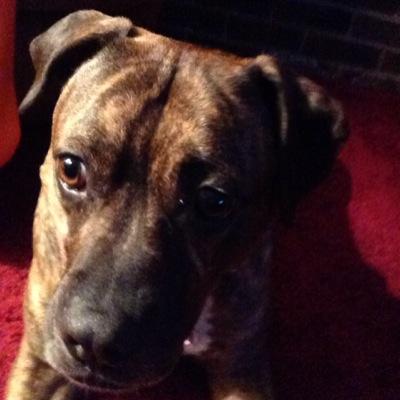 lauradaniel28's profile picture. 