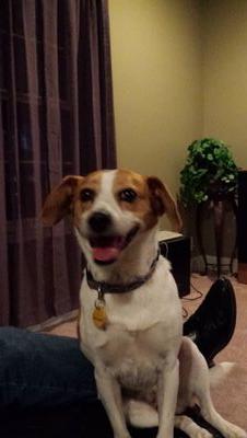 theAdmiral174's profile picture. Father Figure to @kccemailme / Forklift Certified