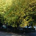 pt (@0273744980) Twitter