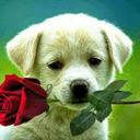 William Bolanos - @williambolanos6 - Twitter