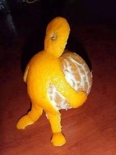 Never Look back unless you are willing to go that way