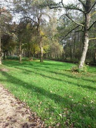 sa2000771's profile picture. 