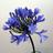 mfriasca72's profile image