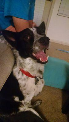 CrystalE3's profile picture. 