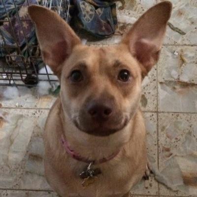 snow_bunny4's profile picture. Hi,im 19.White lol.The sweetest person ever.I love the #49ers, @kaepernick7,@channingtatum, @zacefron,@codylongo,@liltunechi, @haha_cd6