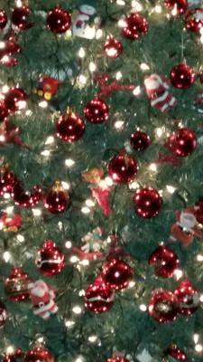 donnarudge29's profile picture. 