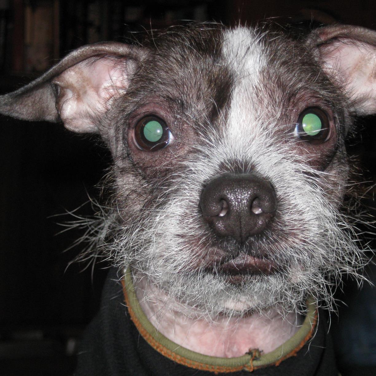 I believe in god, and am a lover of all animals and marine life. I also enjoy listening to all  music , and spending time with family and my dog.

korn