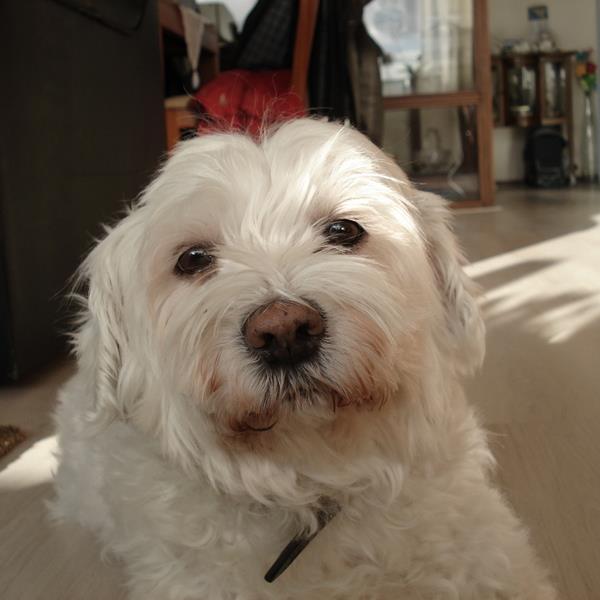 bze3472's profile picture. 