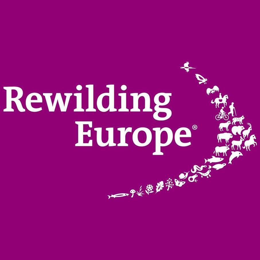 RewildingEurope Profile Picture