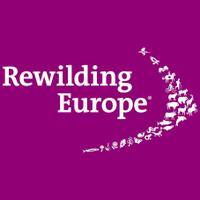 Rewilding Europe(@RewildingEurope) 's Twitter Profileg