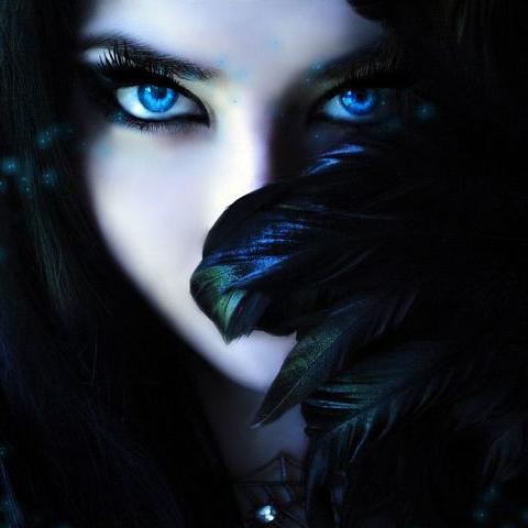 tchudofanatali's profile picture. The Boxer Rebellion New Jork