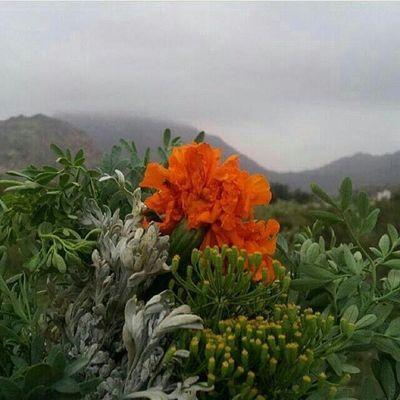 ‏حساب جديد ديني. ثقافي. فكاهي. تعليمي. رتويت رجاءآ