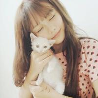 しいなみほ (@shina4170v0) 's Twitter Profile