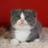 samas4140's profile image