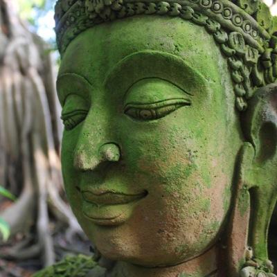 CSovint's profile picture. 