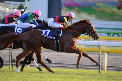 GreaseVolts's profile picture. 中央競馬POGを中心に競馬について呟いています。無意識にフォロー致しますが皆様の御理解、ご支援何卒宜しくお願い申し上げますm(__)mﾍﾟｺﾘﾝ