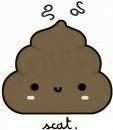 Recording and preserving the daily accounts of my poo life. Happily married to @tweetofmrpoo. My opinions are my mom's influence