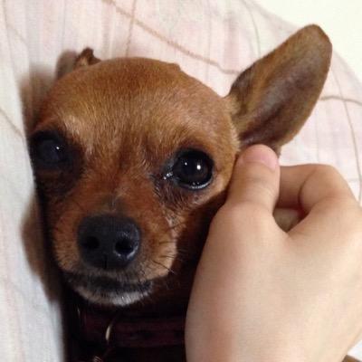 あぁ 切なき 片想ひ‥