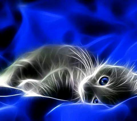 necb_6's profile picture. 