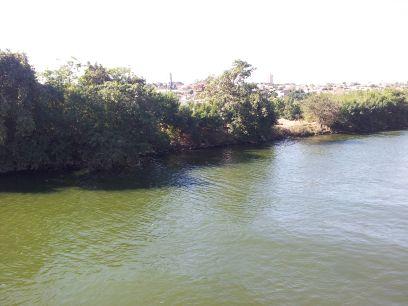 angelogomes25's profile picture. 