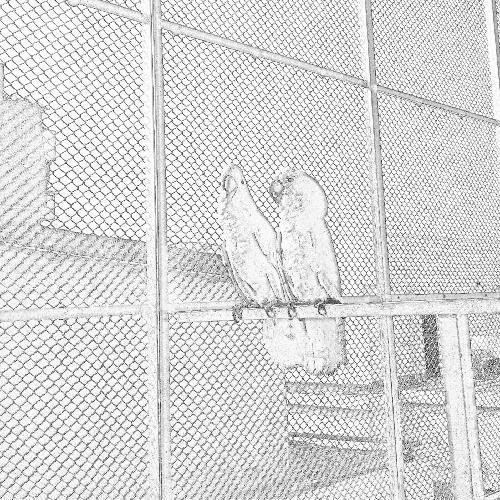 dmsuhagspybd's profile picture. 