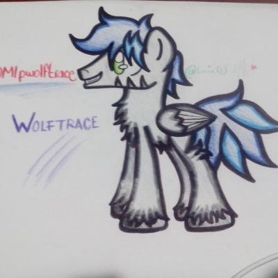 Welcome my name is wolftrace, i like to wolf and i am the wolf guard and i am the 6 pony guard