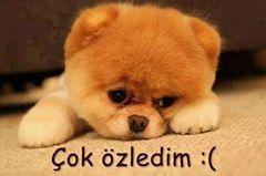 herkese inat gülüyorum :):):):):)