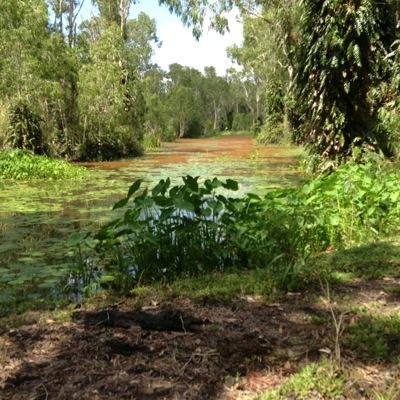 CaldwellPeta's profile picture. 