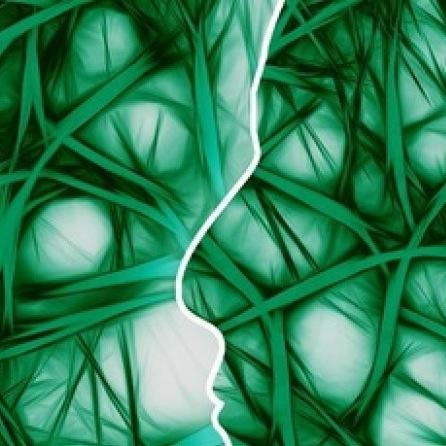 WelComE is a unique research community aiming to bring complexity thinking to understand and enhance wellbeing at individual and collective level.