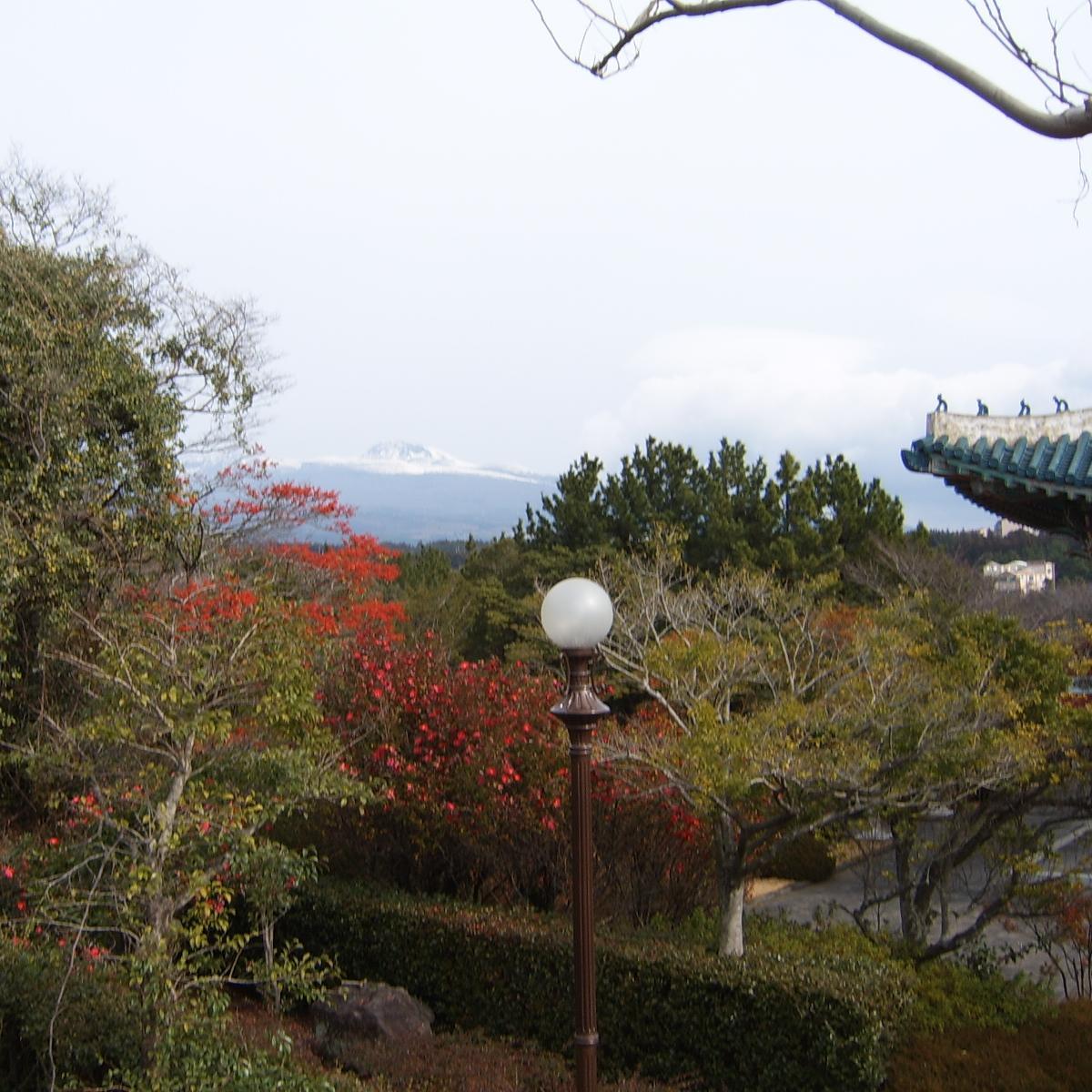 kktzzang's profile picture. 달달한 연예를 하고 싶은 일인~~ 미드 -ncis10 , 본즈8, 워킹데드3를 사랑한 일인~~ 더욱더 즐겁게 살자!!