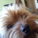 Daniel Szeliga - @daniel_szeliga - Twitter