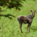 cecil brewer - @cecilbrewer2 - Twitter