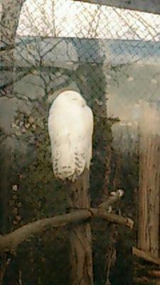 cube4873's profile picture. ゆっくりのんびりいきましょう
❗自分を大事に😁