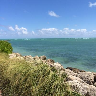 LuisaCMI's profile picture. Realtor, Mom, Volunteer