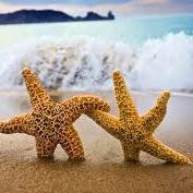 ChesterCliffor1's profile picture. 