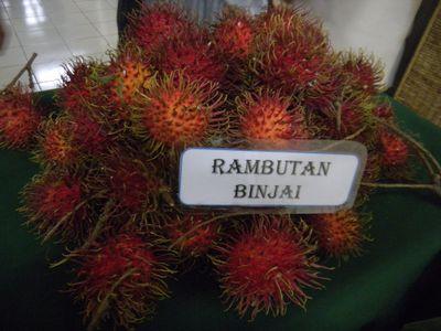 #KotaRambutan adalah julukan dari #KotaBinjai Tercinta
. Di Indonesia siapa yg gak kenal #RambutanBinjai? #Infokota Binjai follow @KotaRambutan