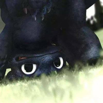 HTTYD_fangirl Profile Picture
