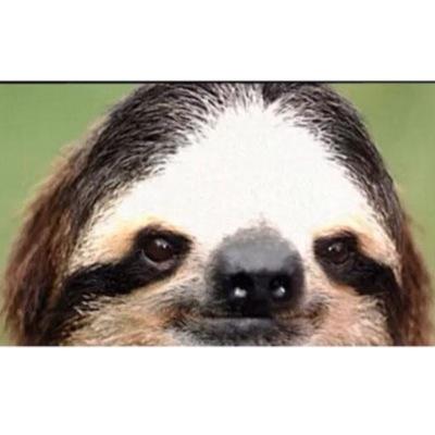 PerezosoSerafin's profile picture. Soi Serafin, amigo de el pekeño Nikolás, me cuelo en tos los laos y os espio, trabajo en el CNI. Doi #followback a los mas perezosos. http://t.co/y4tingZOyo ✋