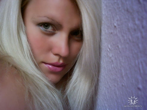 BarnikelAly's profile picture. 