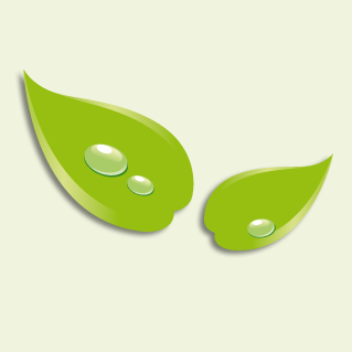 Formule Verte Profile