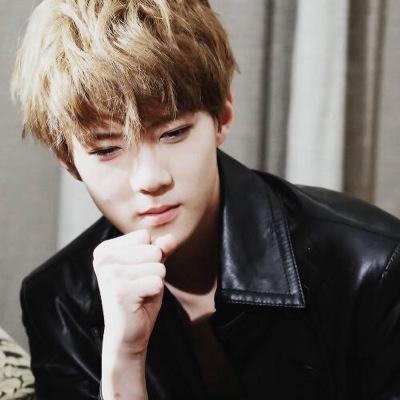 follow @ARMY__EXO_L instead of this account, thank you :)