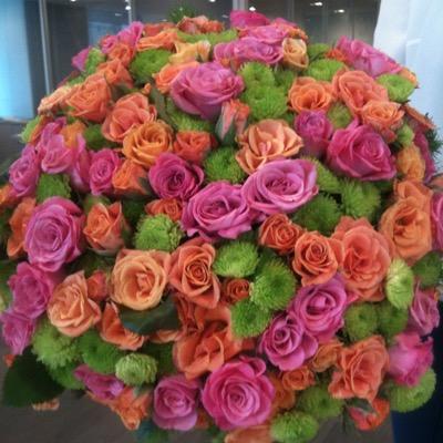 edailicali's profile picture. 