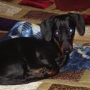 sharon enos - @grammasbags - Twitter