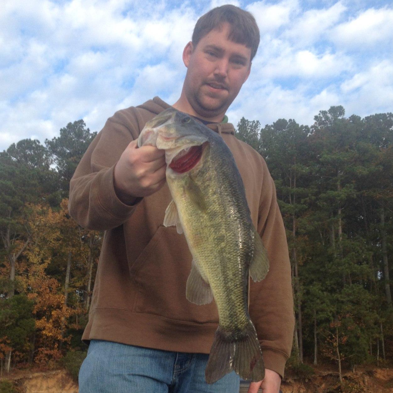 GinaSlone1's profile picture. 