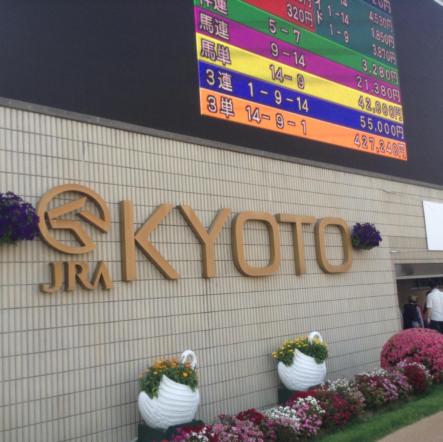 SHU_KeibaA's profile picture. 競馬関係専用アカウント 道楽で競馬やってる２２歳です。淀が好き。