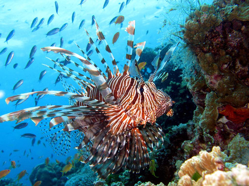 s_m_a_s_h24's profile picture. 